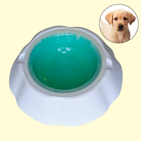 Chilled Pet Water Bowl