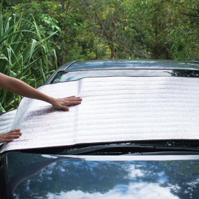 Windshield Protector