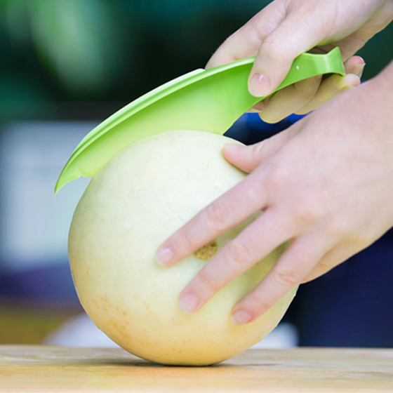 Melon Slicer