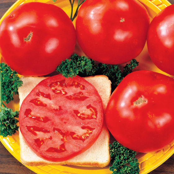 Tomato Lovers Special